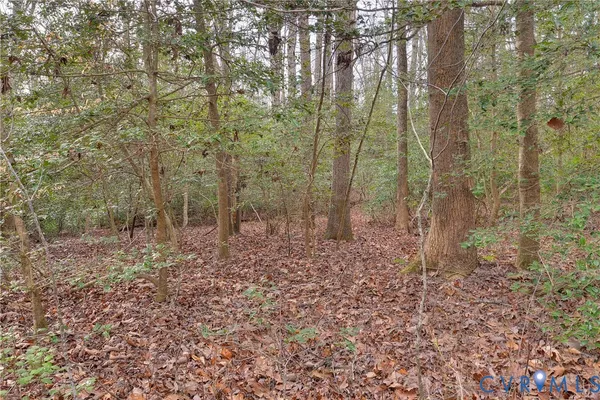 $11,000 | Lot B Lonesome Pne Trail, Lancaster, VA 22503