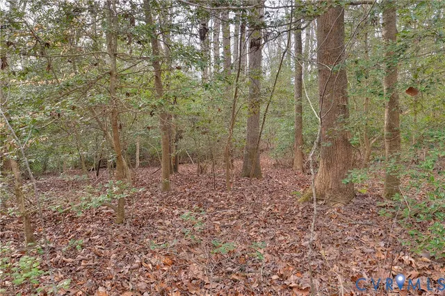 $11,000 | Lot B Lonesome Pne Trail, Lancaster, VA 22503