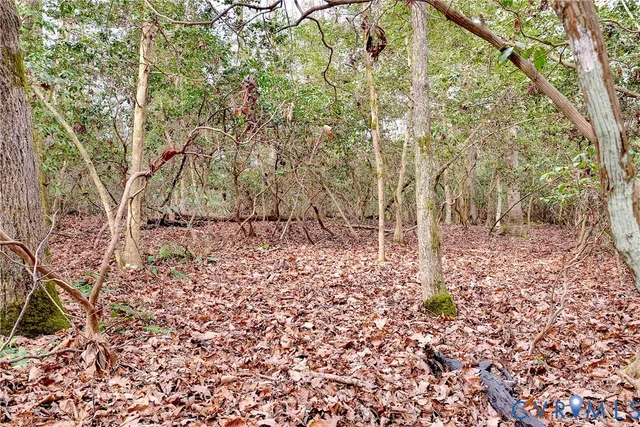 $11,000 | Lot B Lonesome Pne Trail, Lancaster, VA 22503