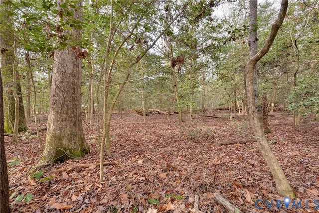 $11,000 | Lot B Lonesome Pne Trail, Lancaster, VA 22503