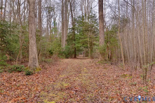 $11,000 | Lot B Lonesome Pne Trail, Lancaster, VA 22503