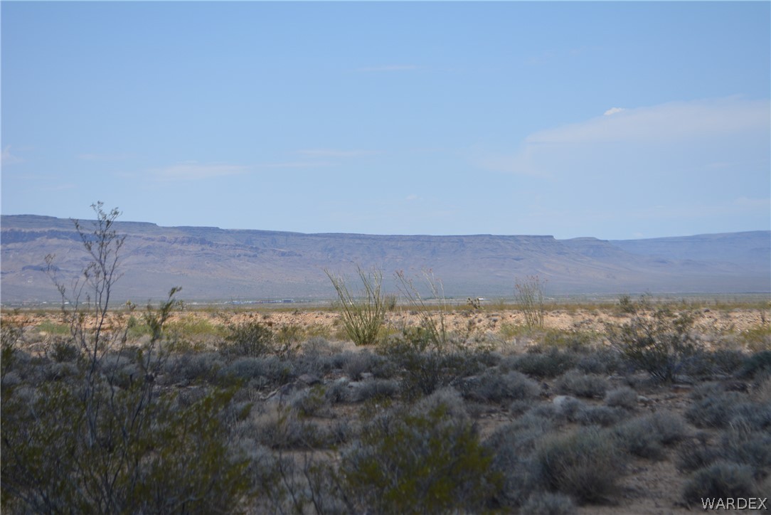 208-24-134 Cameron Road Yucca, AZ 86438 - Photo 16 of 86