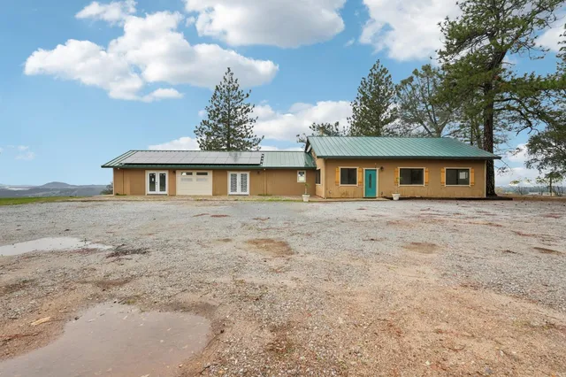 a view of a forest with a mountain in the background
