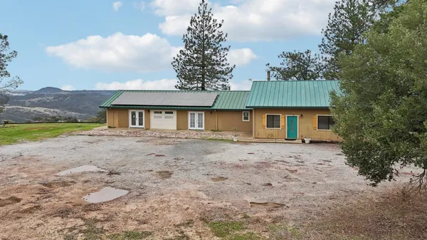 a view of a yard in front of a house with a yard