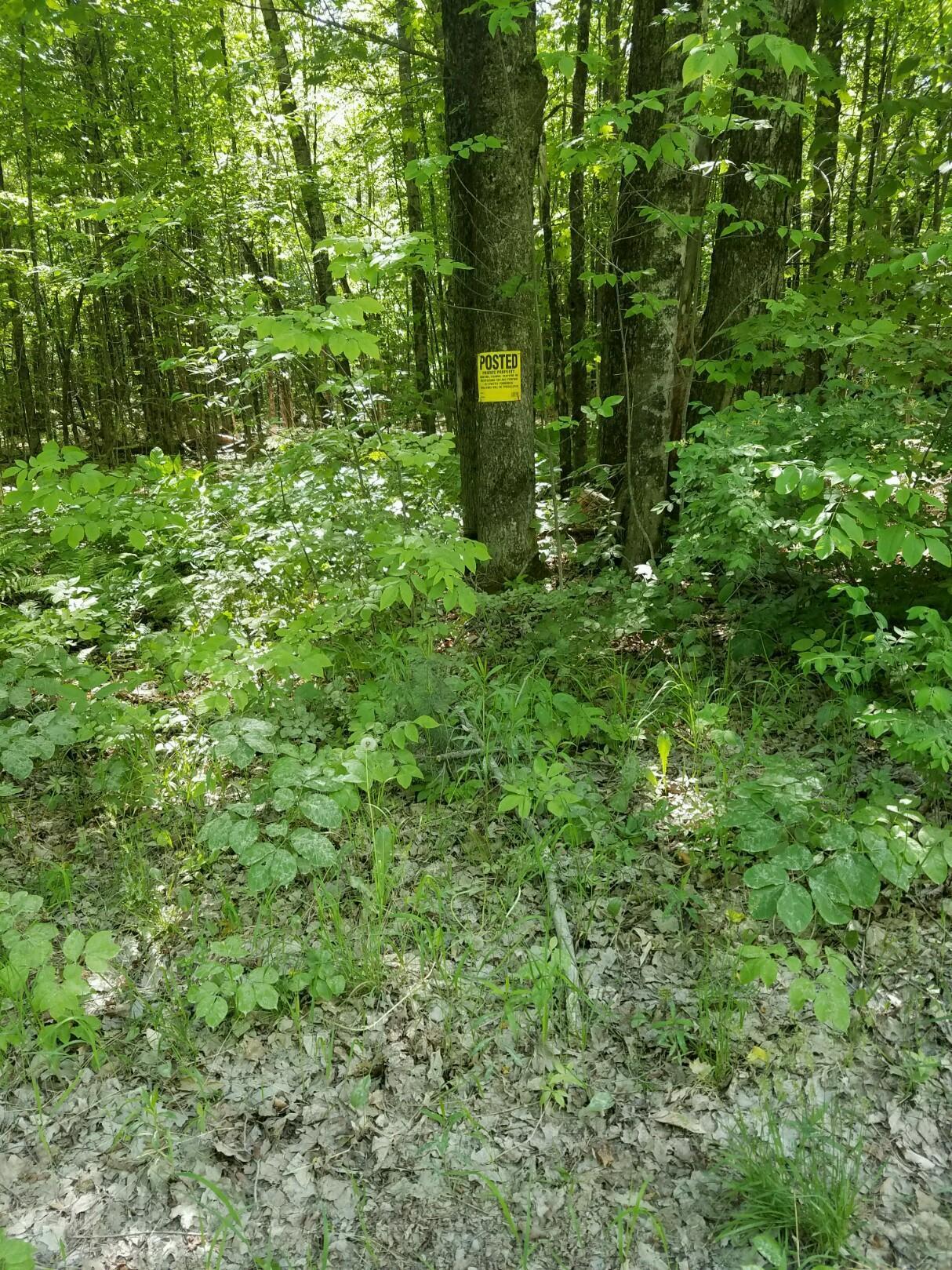 Tbd Rome Road Mercer, ME 04957 - Photo 3 of 21 20160531_152418