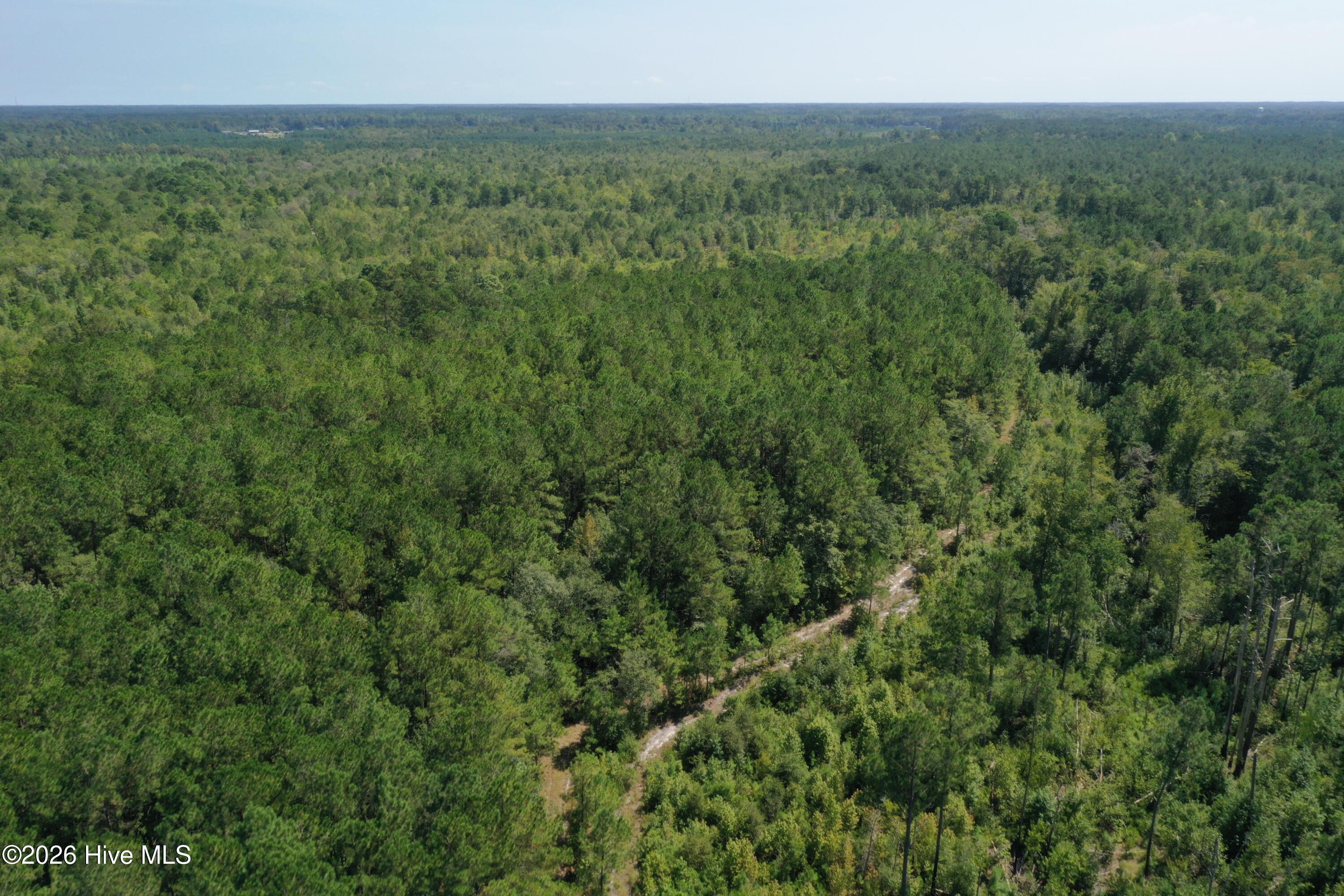 0 Bud Stephens Road Evergreen, NC 28438 - Photo 10 of 12 Gallery Image 10