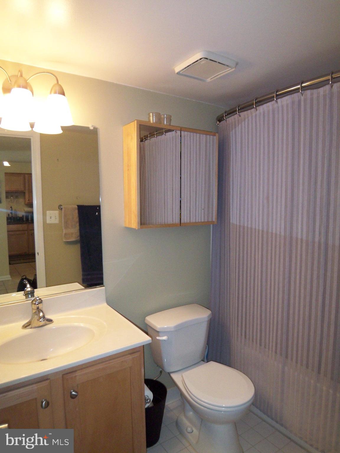 1001 North Randolph Street, Unit 516 Arlington, VA 22201 - Photo 9 of 18 a bathroom with a sink a toilet and mirror