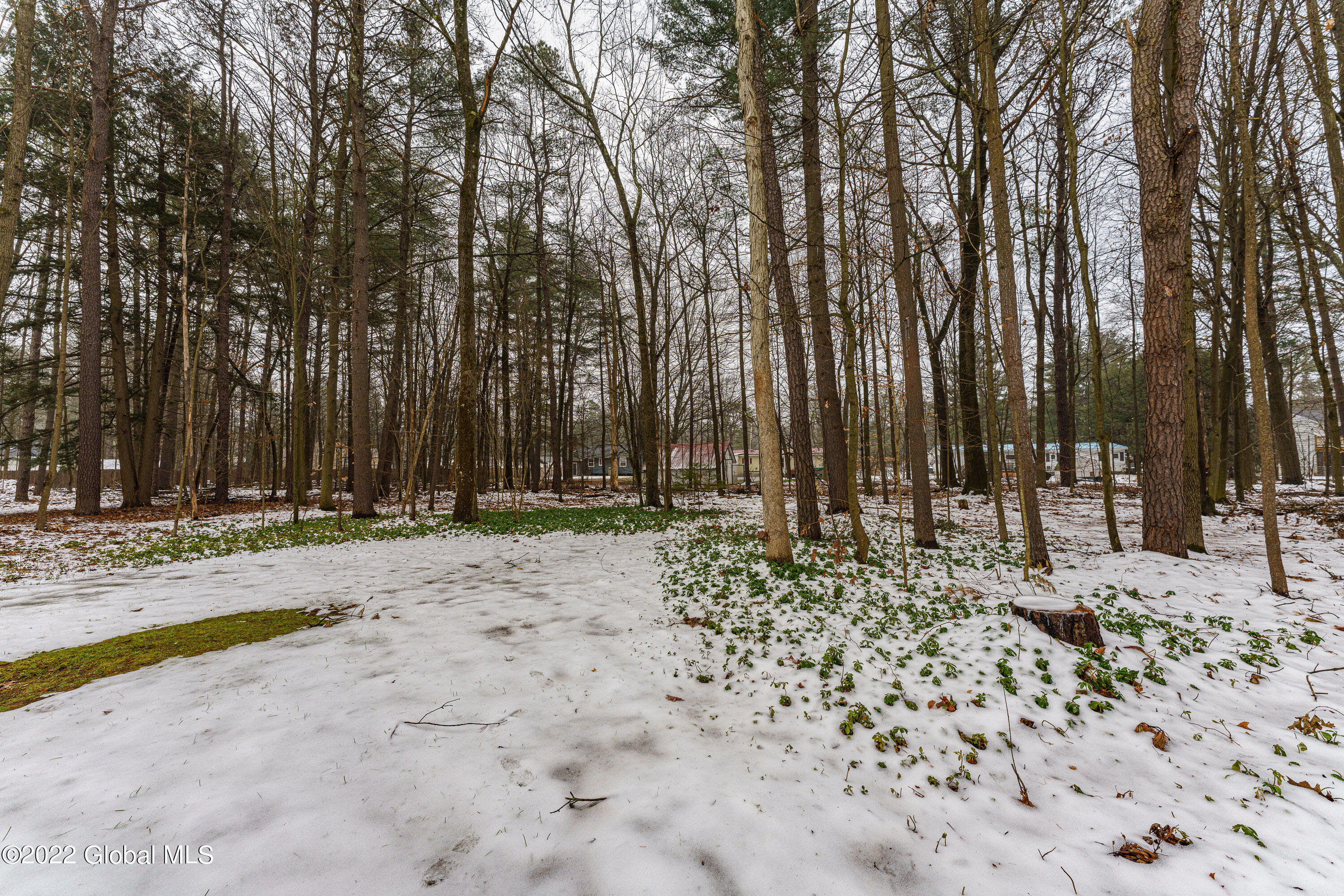 369 Northern Pines Road Wilton, NY 12866 - Photo 29 of 29 Yard 4