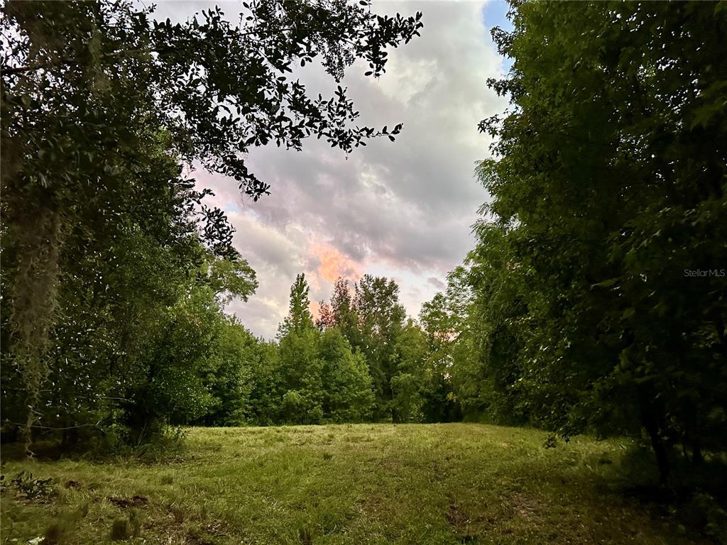a view of outdoor space and yard