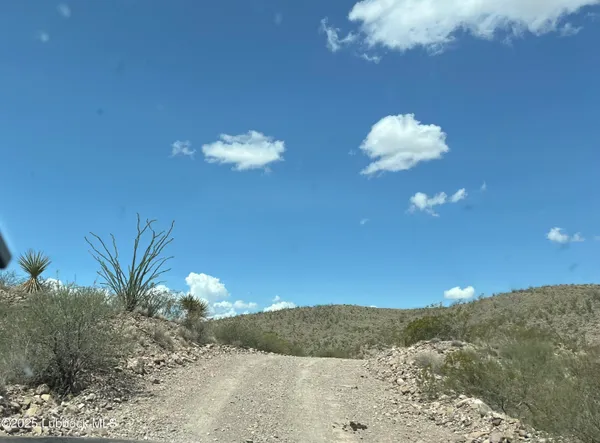 $7,500 | 1-10 Sec 65 Block 2 T&p Presidio County, Valentine, TX 79854
