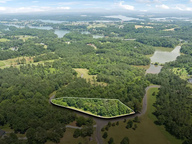 an aerial view of a residential houses covered in trees and lake