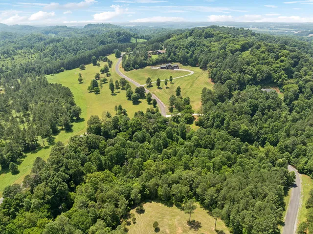 a view of a swimming pool with a yard