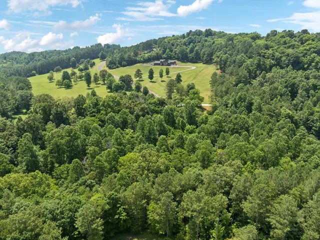 a view of a lake with a houses