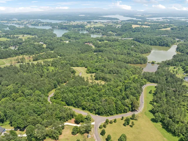 an aerial view of residential houses with outdoor space and trees