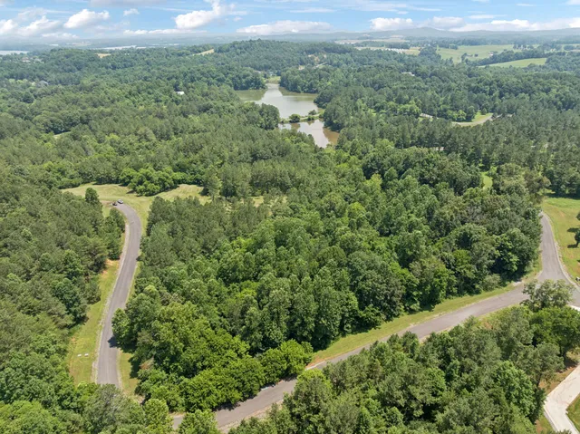 a view of a green field with lots of bushes