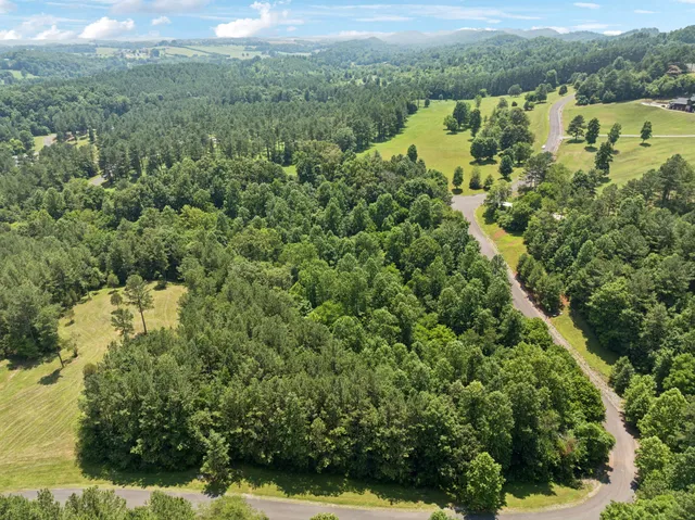 an aerial view of houses with yard