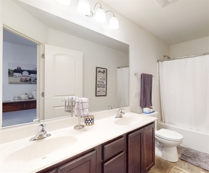 25613 West Cerena Circle Plainfield, IL 60586 - Photo 18 of 28 a bathroom with a double vanity sink toilet and shower