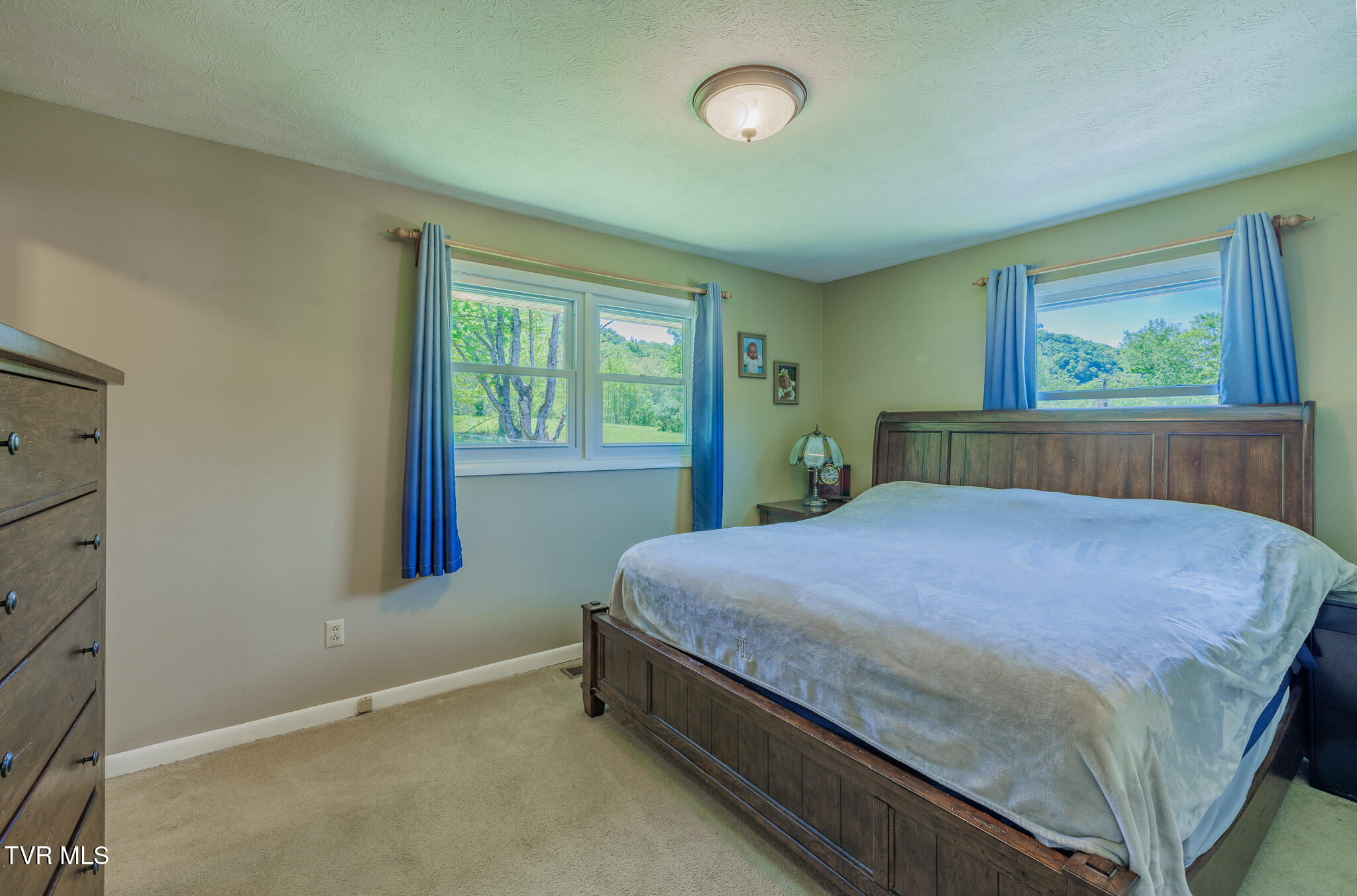 314 Woodvale Road Blountville, TN 37617 - Photo 11 of 35 1R9A5343-HDR-2