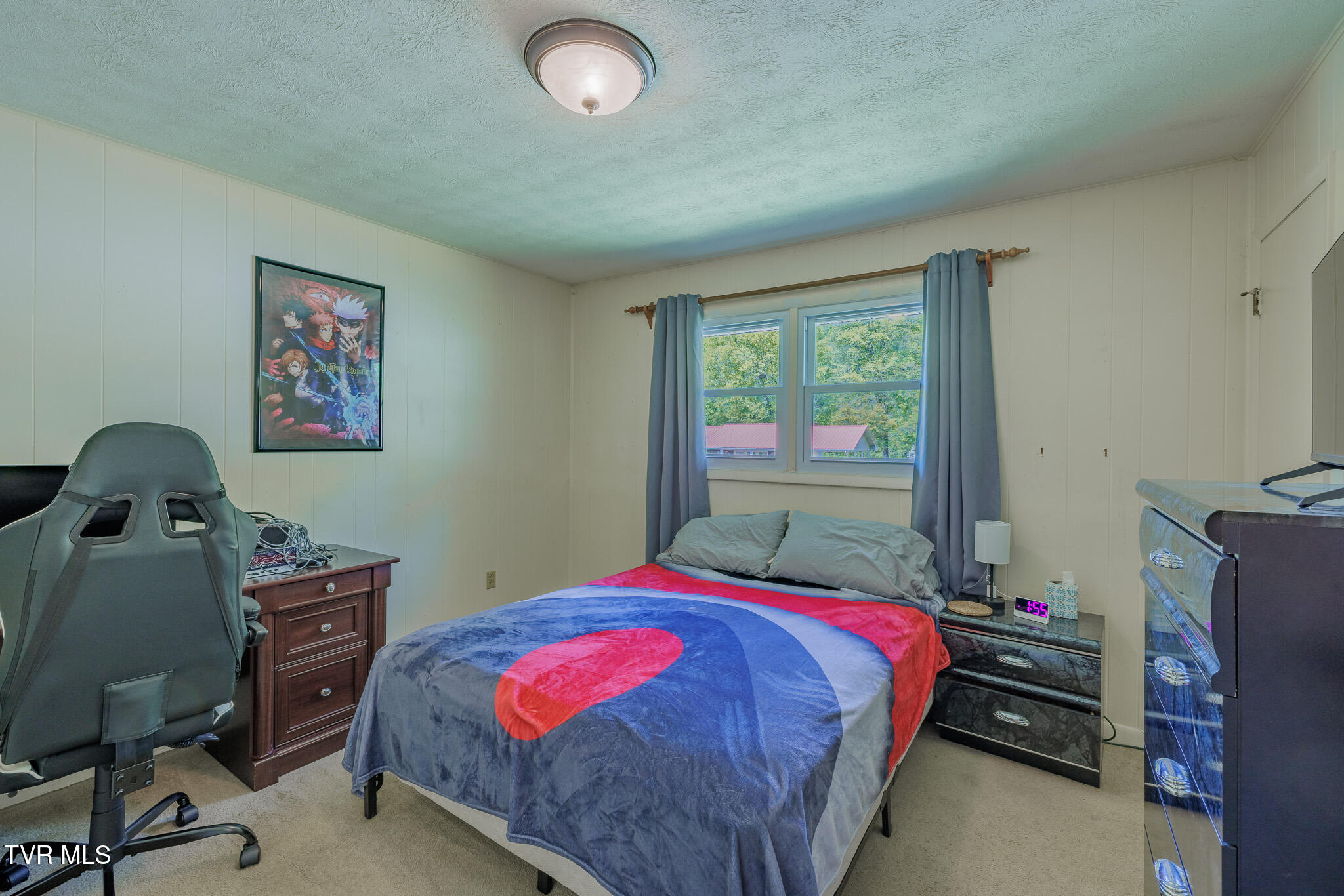 314 Woodvale Road Blountville, TN 37617 - Photo 13 of 35 1R9A5331-HDR