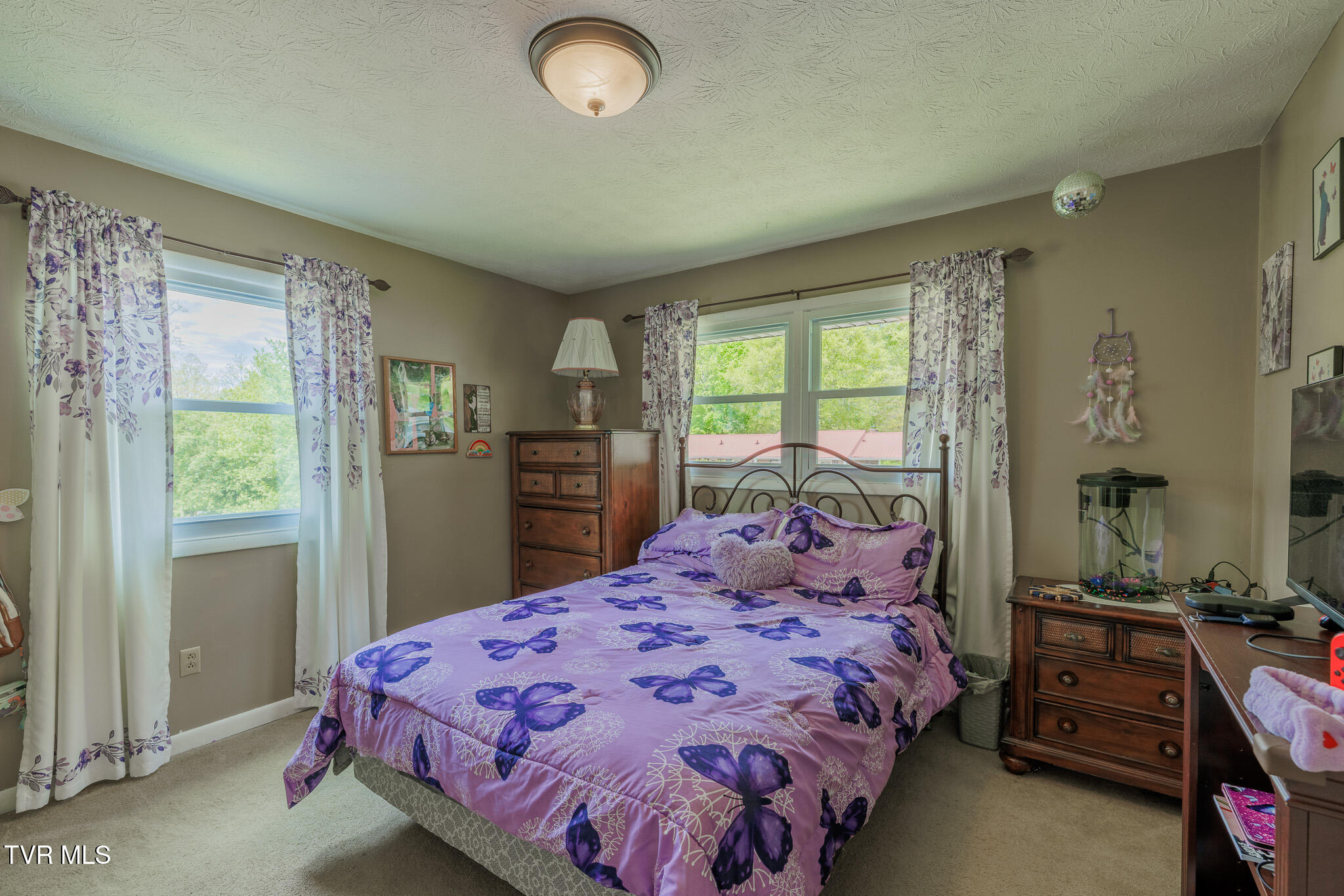 314 Woodvale Road Blountville, TN 37617 - Photo 17 of 35 1R9A5385-HDR