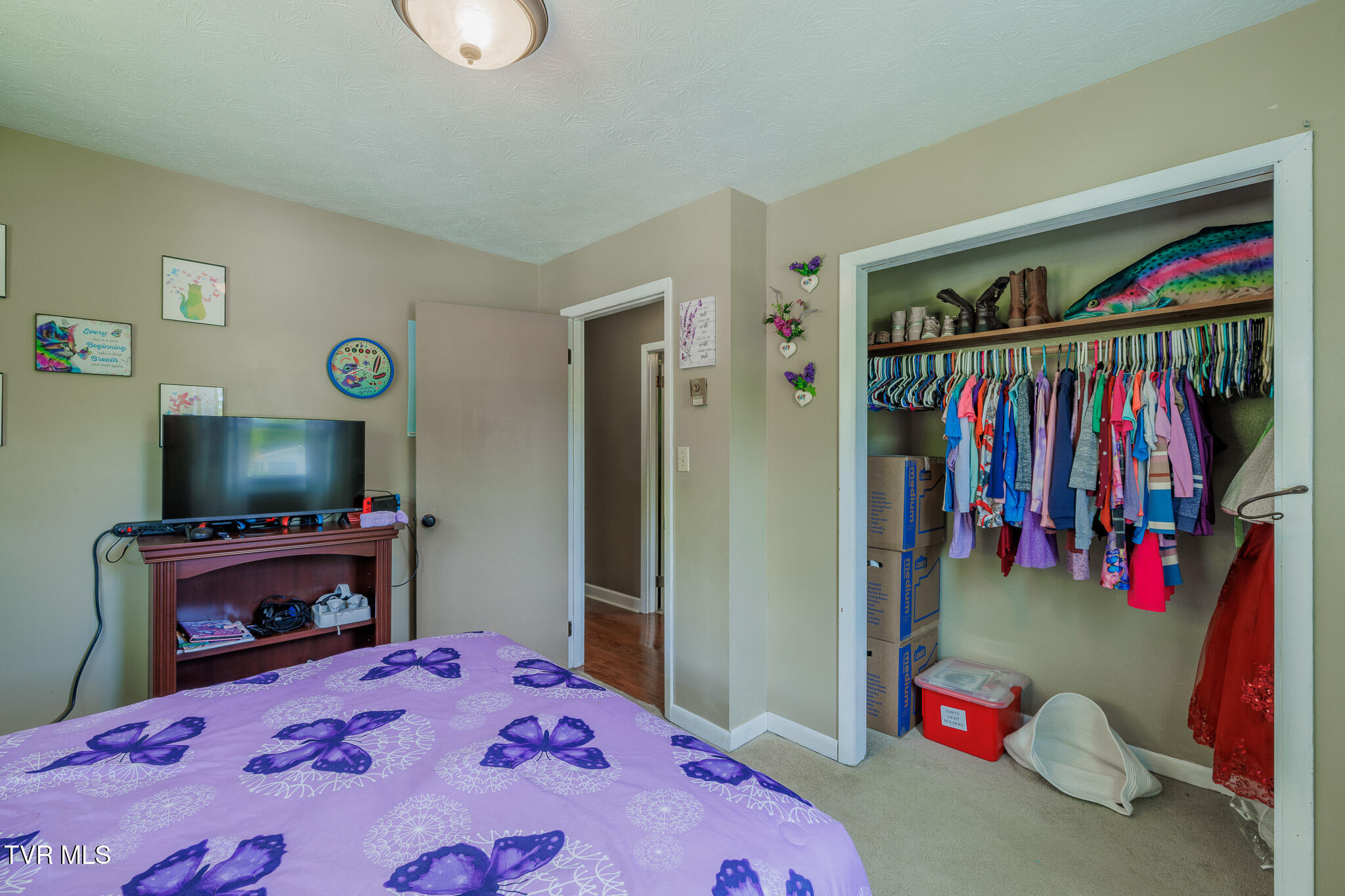 314 Woodvale Road Blountville, TN 37617 - Photo 18 of 35 1R9A5388-HDR