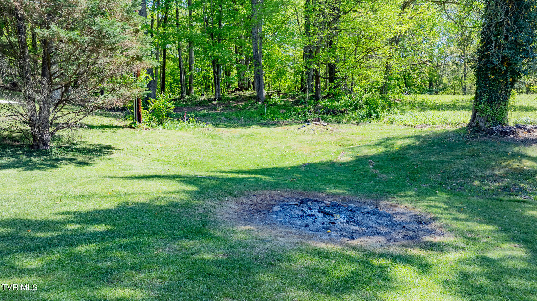 314 Woodvale Road Blountville, TN 37617 - Photo 32 of 35 dji_fly_20260421_142420_0994_17767969890