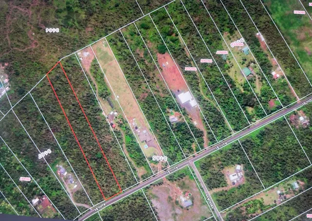 a view of a yard with plants and wooden fence