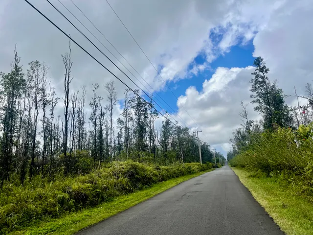 a view of a yard with plants and a building