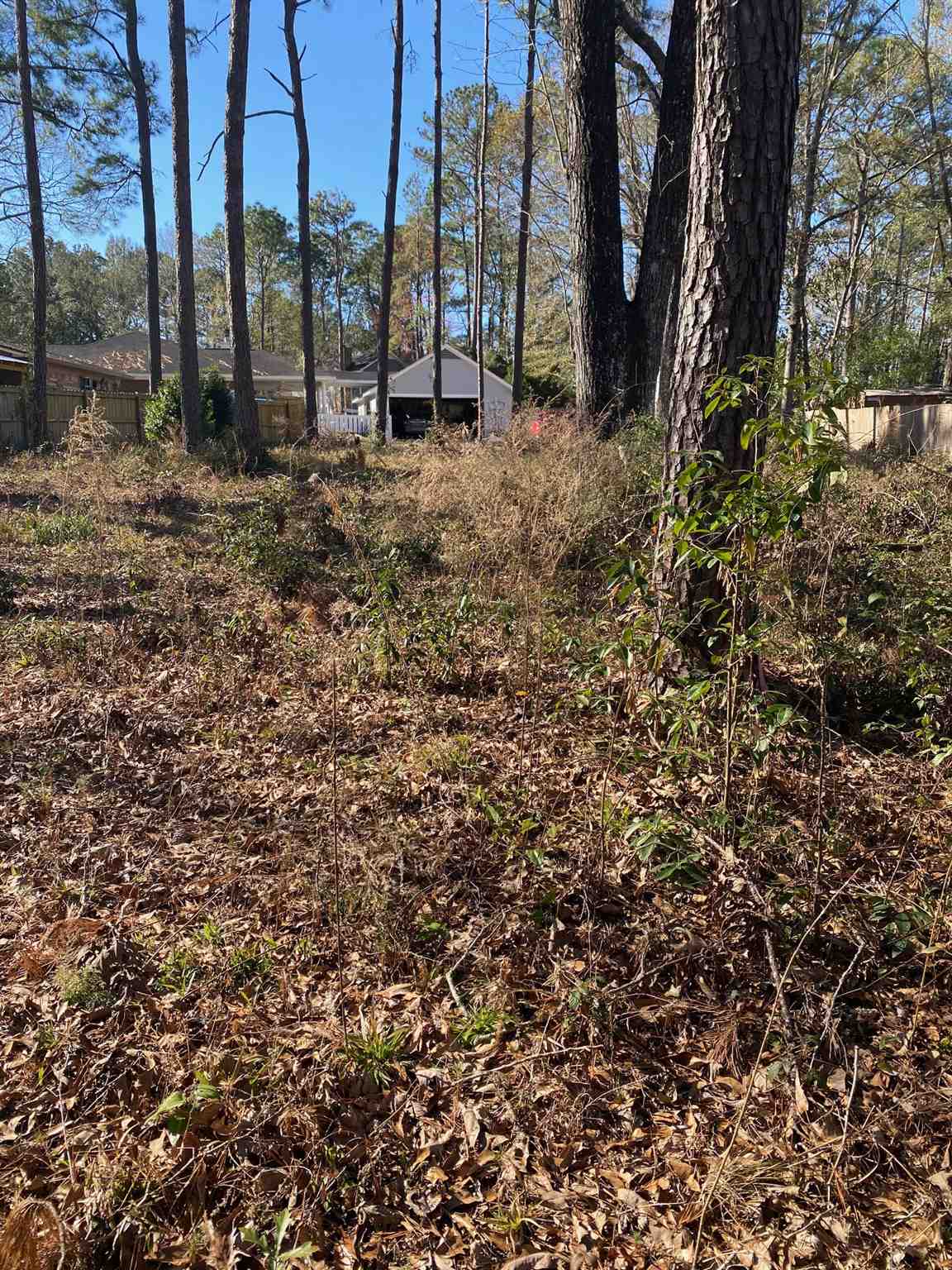 607 Ridgewood Drive Daphne, AL 36526 - Photo 7 of 8
