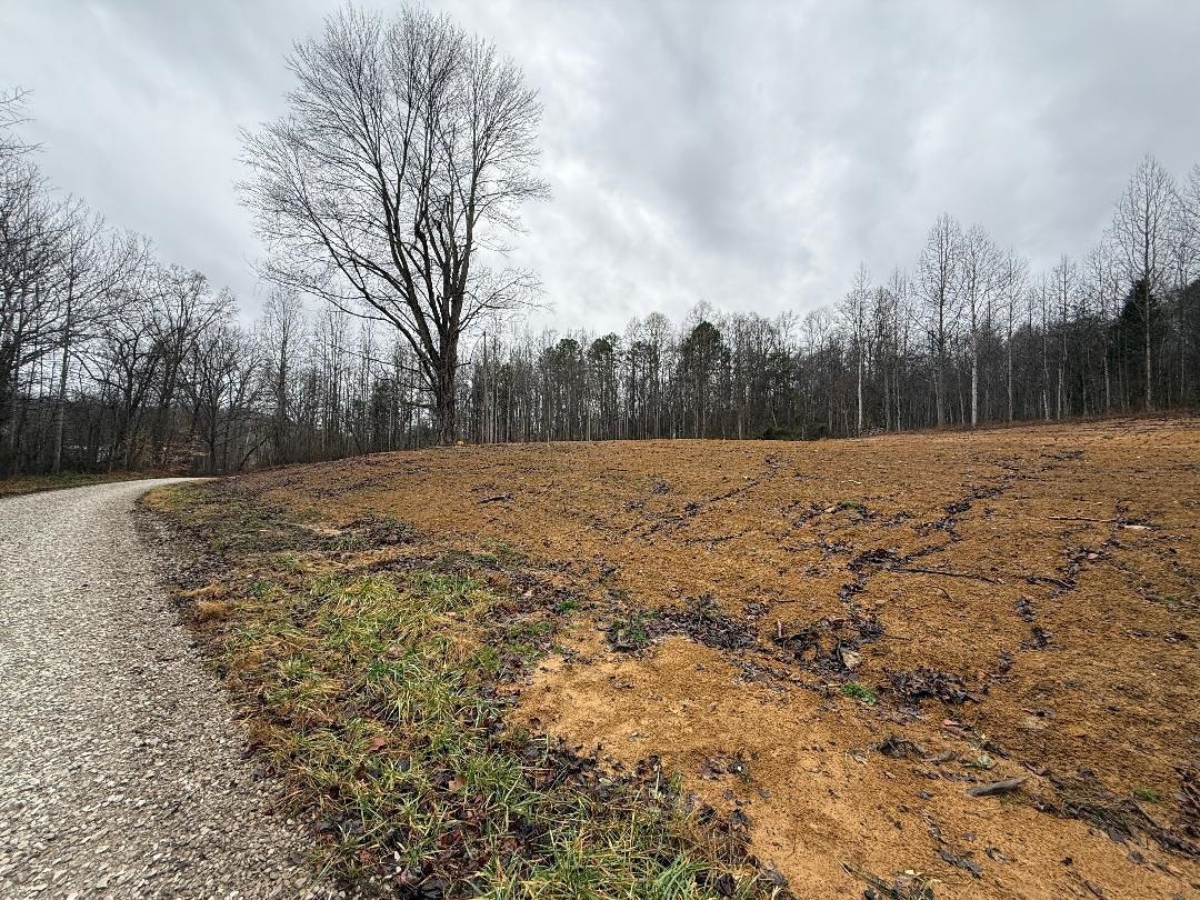 0 Bowling Road Greenup, KY 41144 - Photo 3 of 6 Gallery Image 3