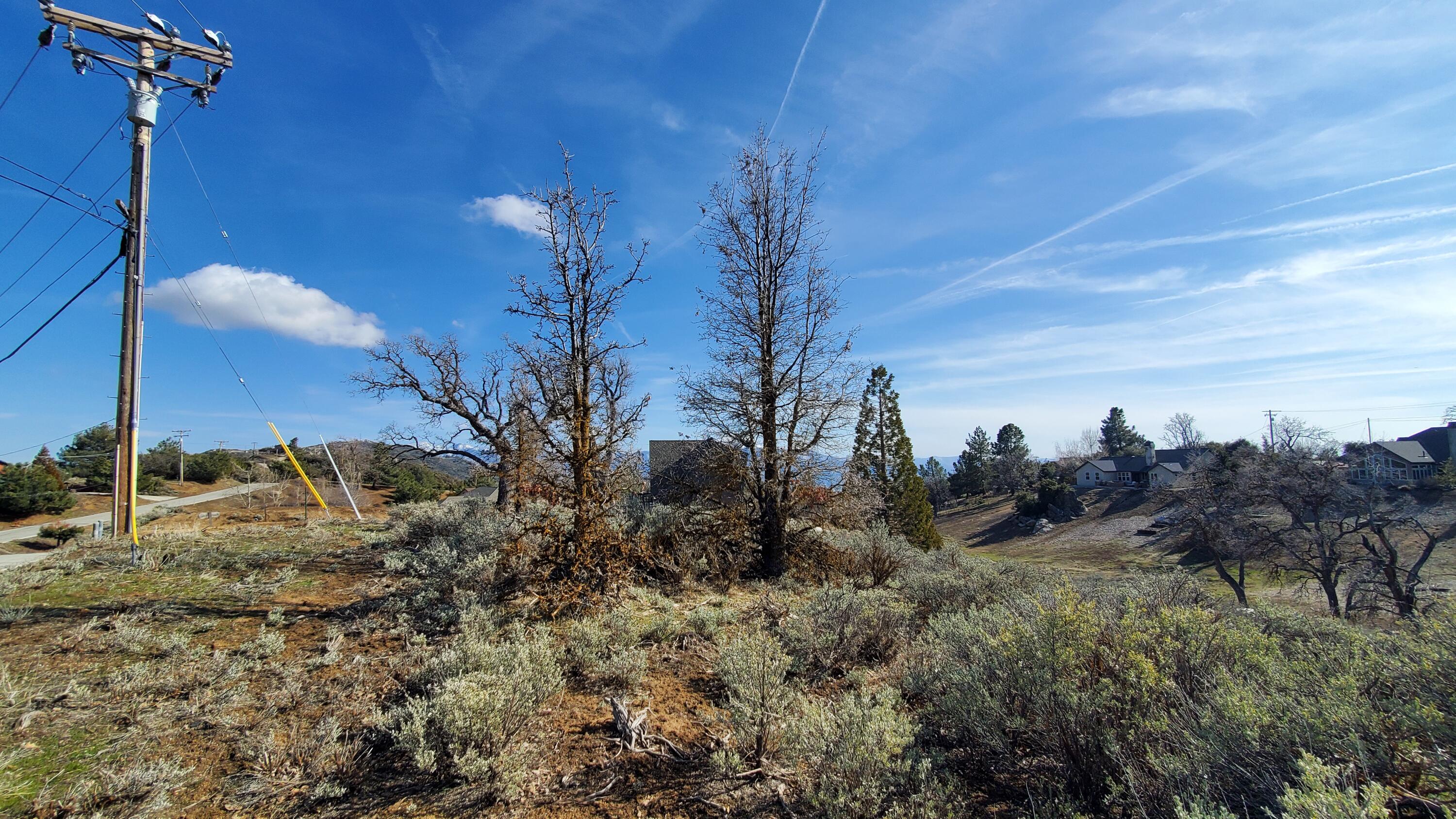 25041 Jacaranda Drive Tehachapi, CA 93561 - Photo 12 of 30 20230405_162127