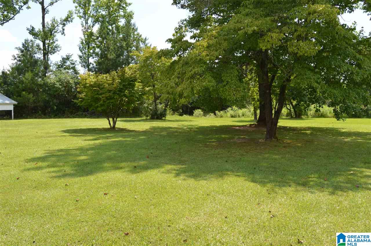 843 Mountain View Road Cordova, AL 35550 - Photo 31 of 37