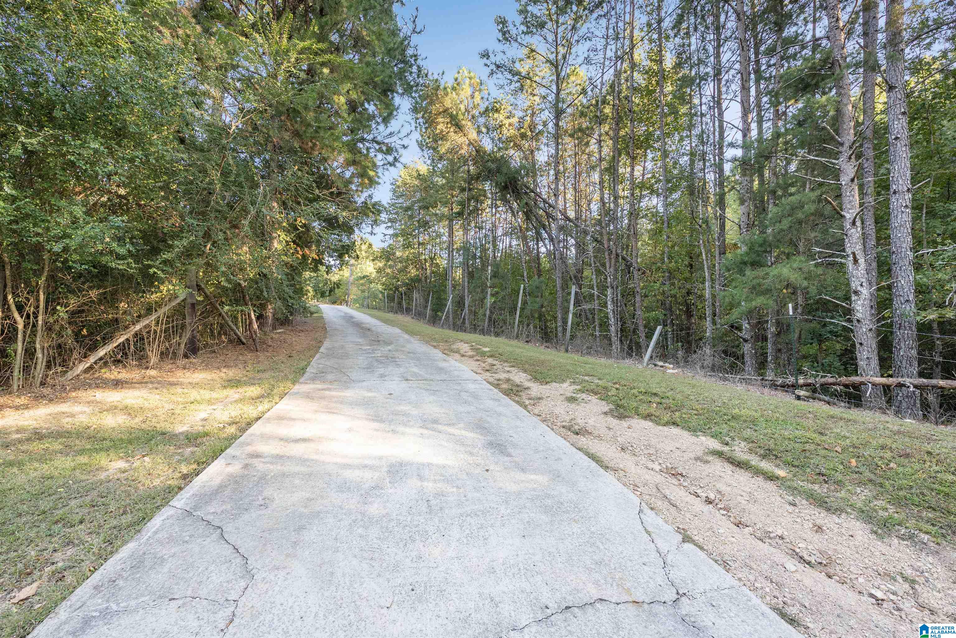 5769 Miles Spring Road Pinson, AL 35126 - Photo 42 of 47