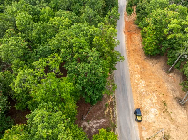 a view of a garden with pathway
