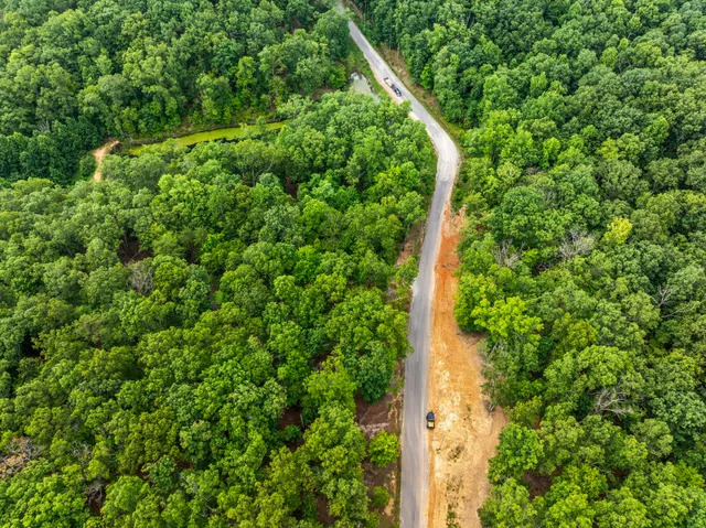 a map view of a forest