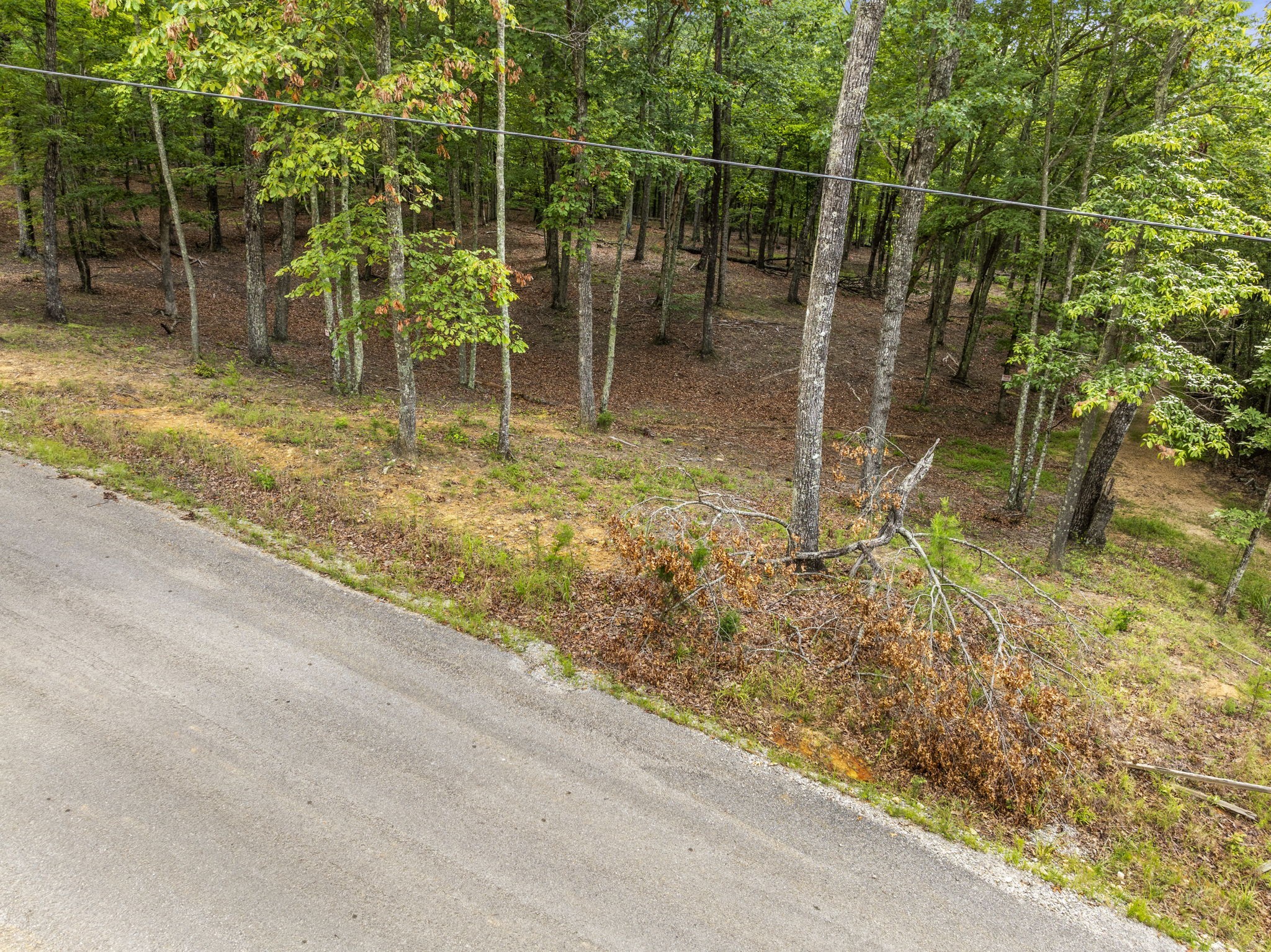 0 Eagle Rock Road Monteagle, TN 37356 - Photo 14 of 26