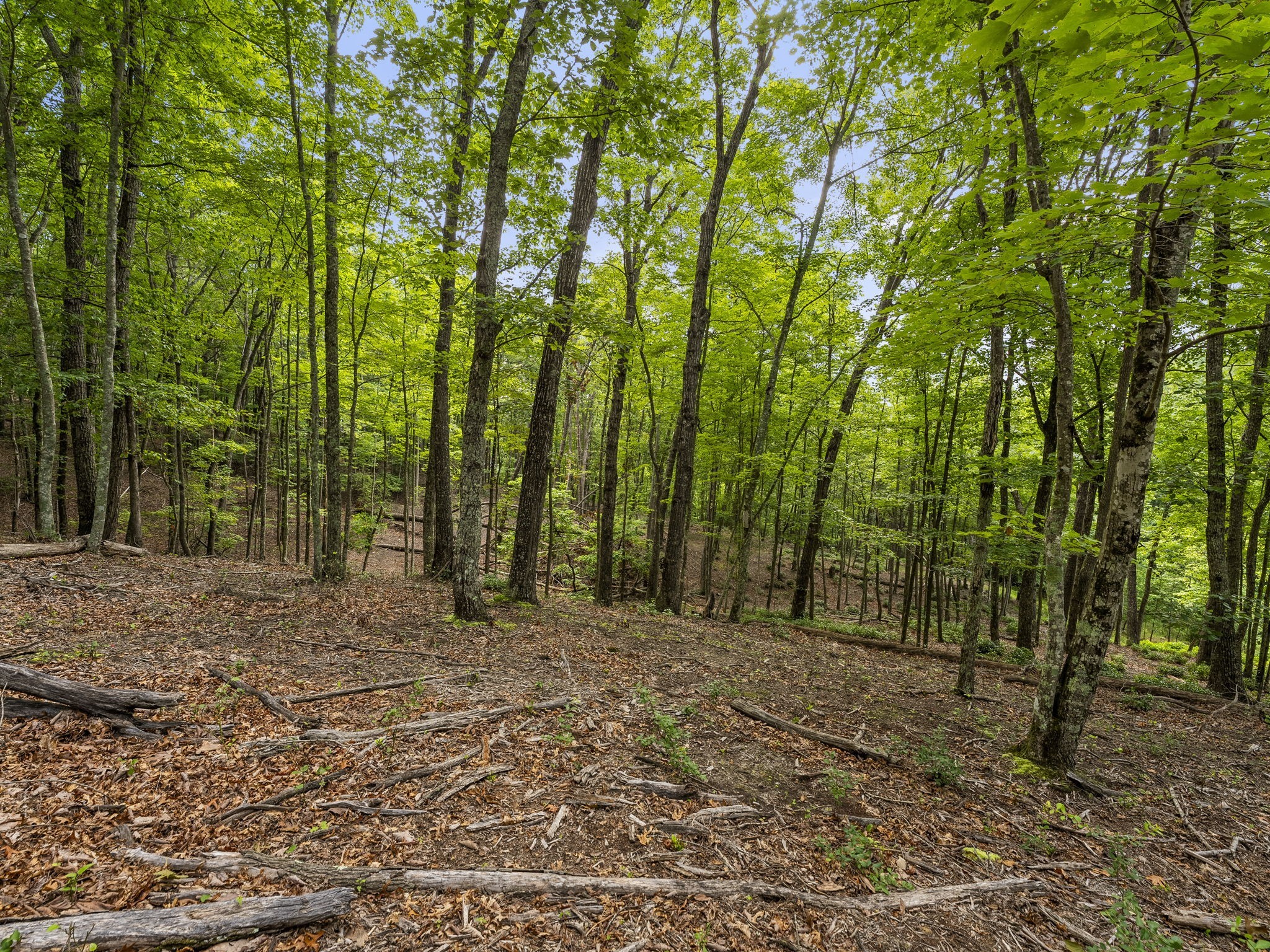 0 Eagle Rock Road Monteagle, TN 37356 - Photo 16 of 26