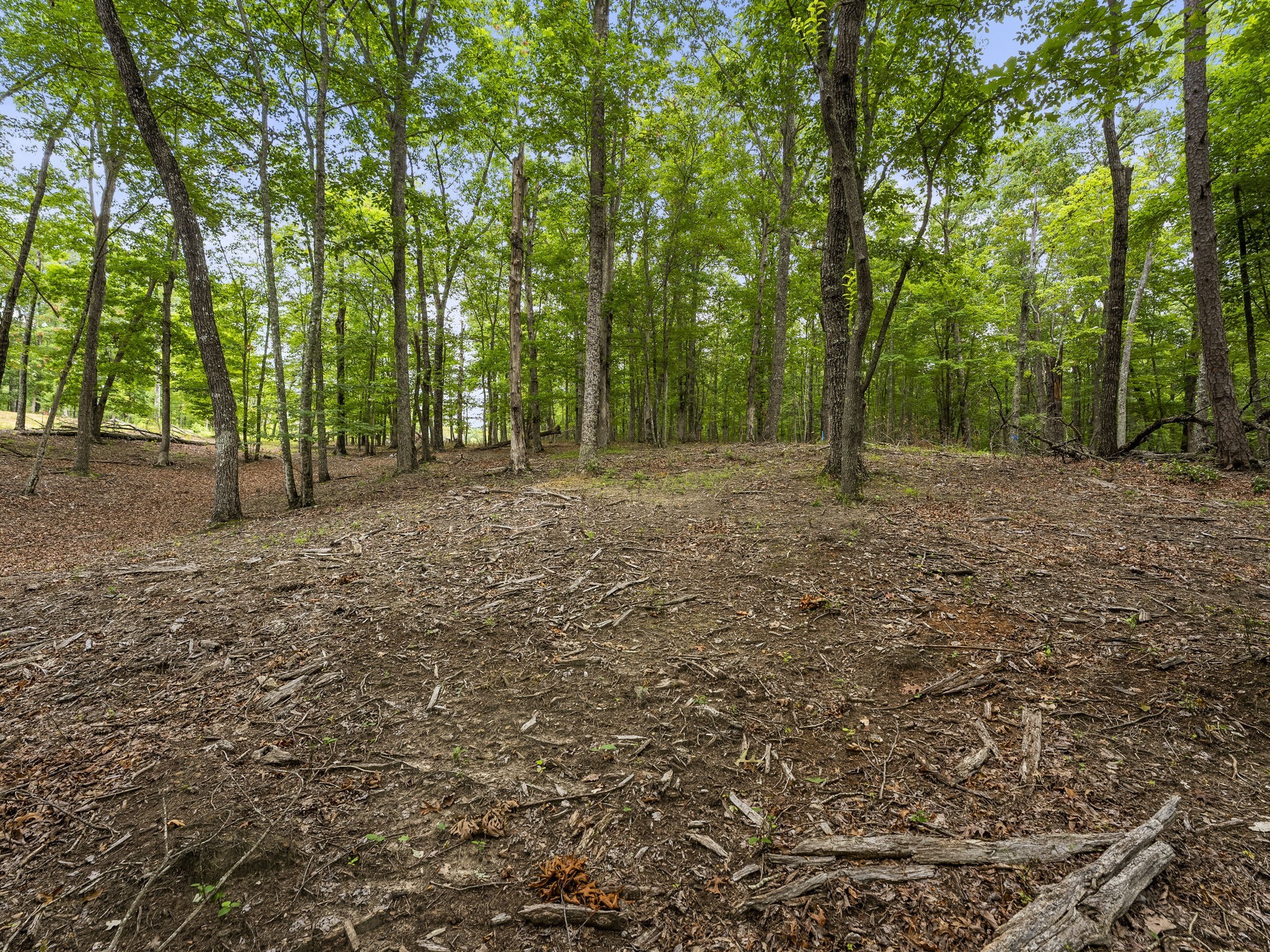 0 Eagle Rock Road Monteagle, TN 37356 - Photo 17 of 26