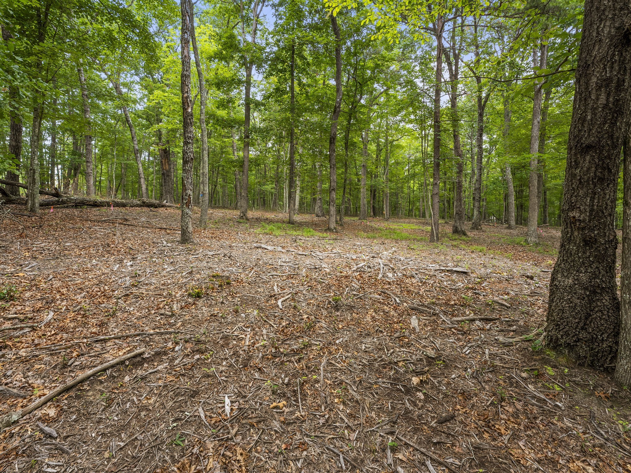 0 Eagle Rock Road Monteagle, TN 37356 - Photo 18 of 26