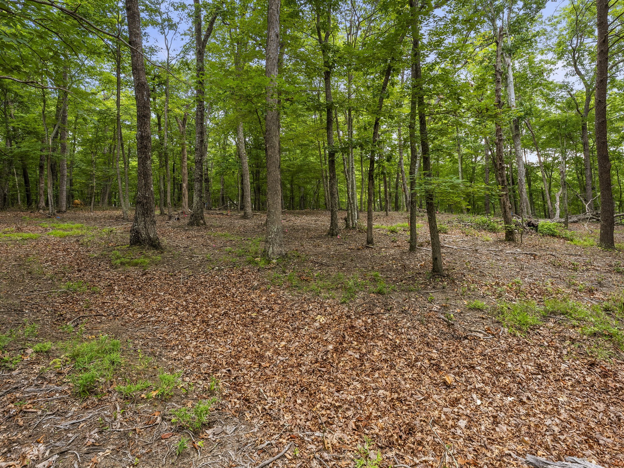 0 Eagle Rock Road Monteagle, TN 37356 - Photo 19 of 26