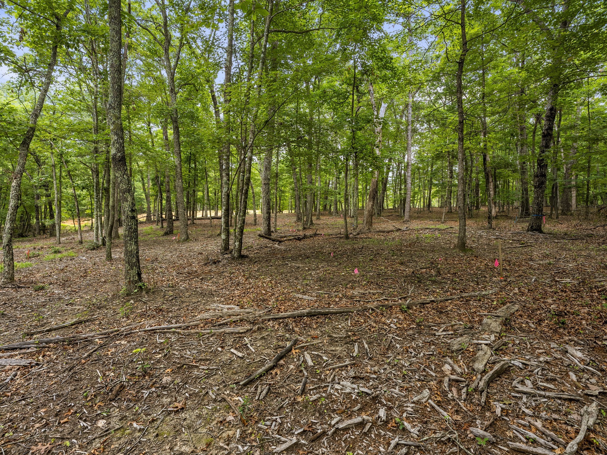 0 Eagle Rock Road Monteagle, TN 37356 - Photo 20 of 26