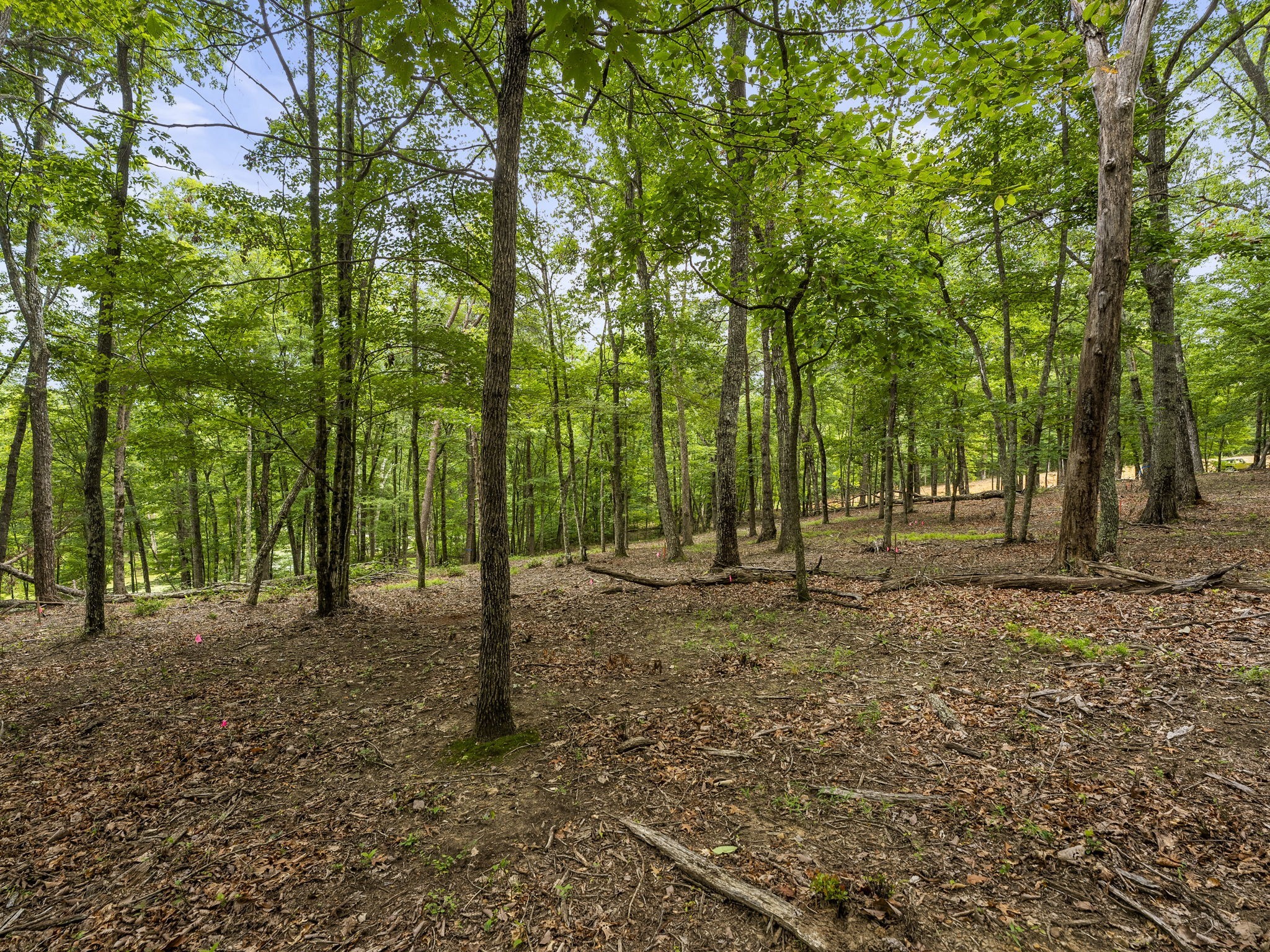 0 Eagle Rock Road Monteagle, TN 37356 - Photo 21 of 26