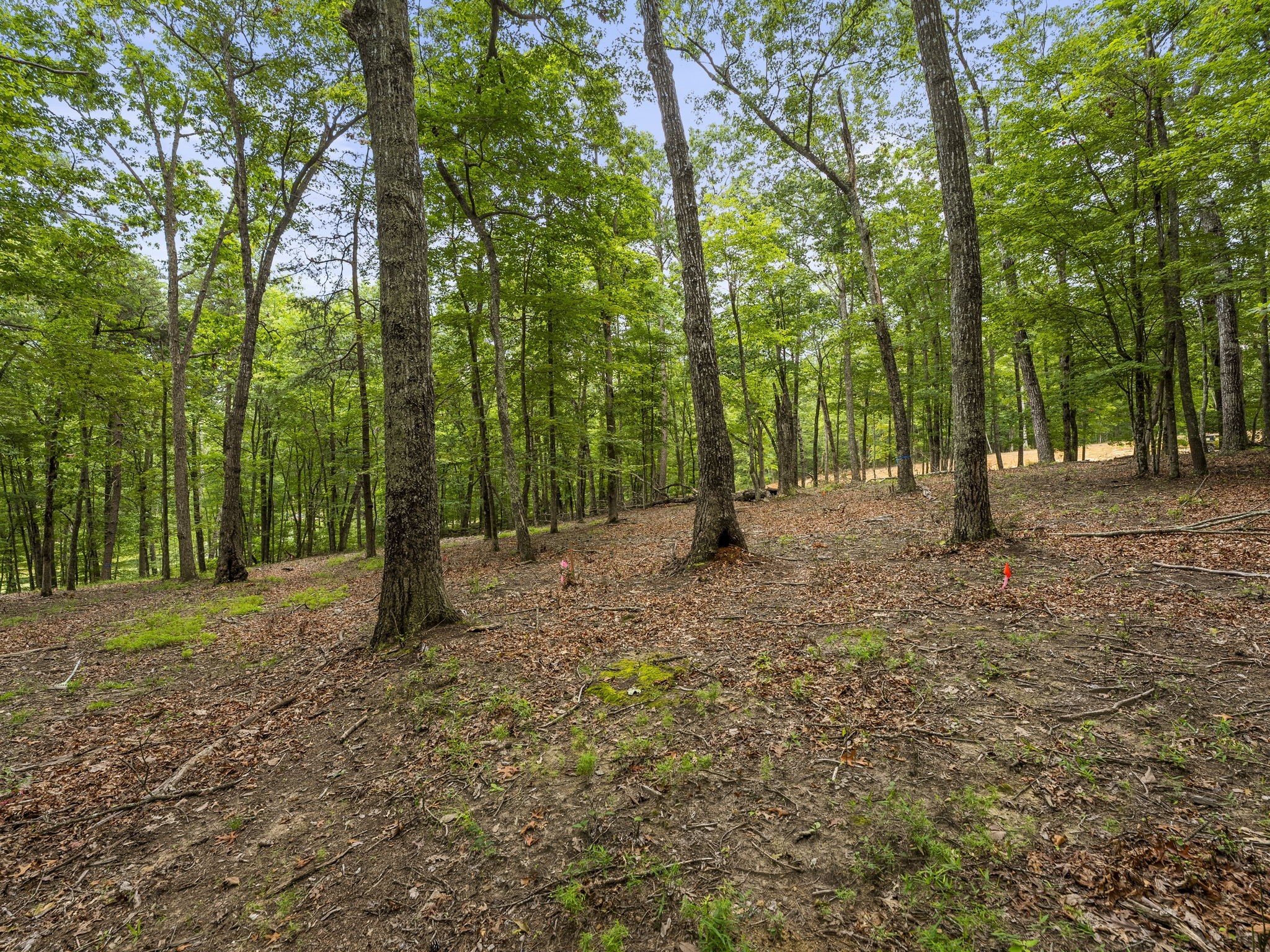 0 Eagle Rock Road Monteagle, TN 37356 - Photo 22 of 26