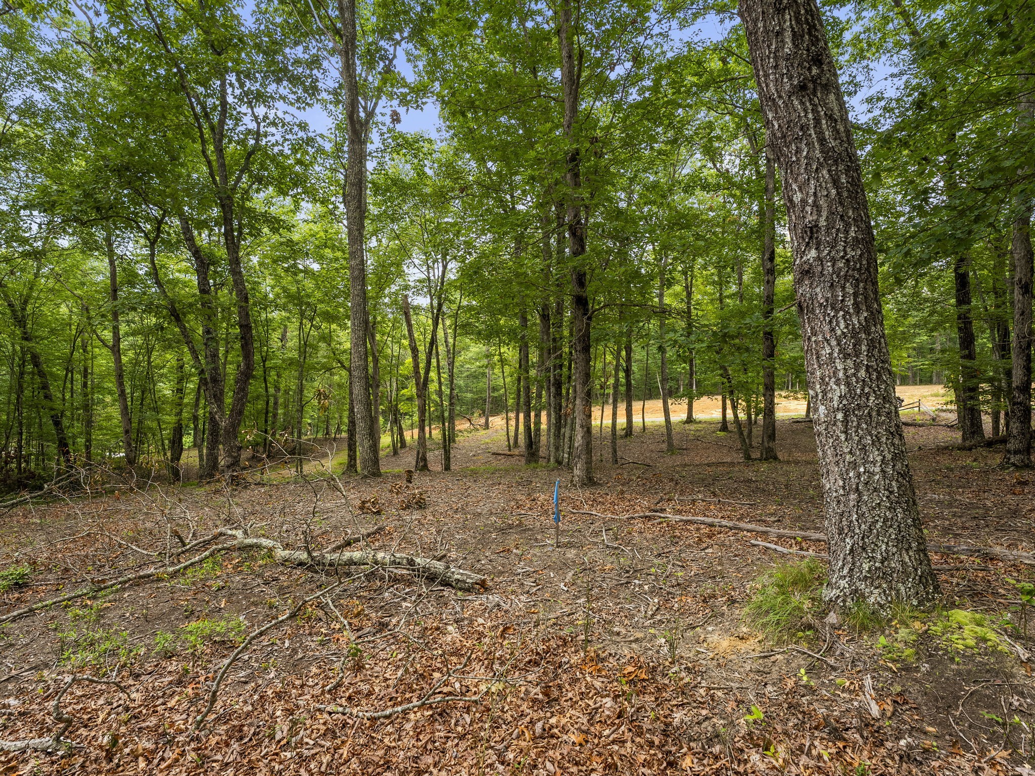0 Eagle Rock Road Monteagle, TN 37356 - Photo 23 of 26