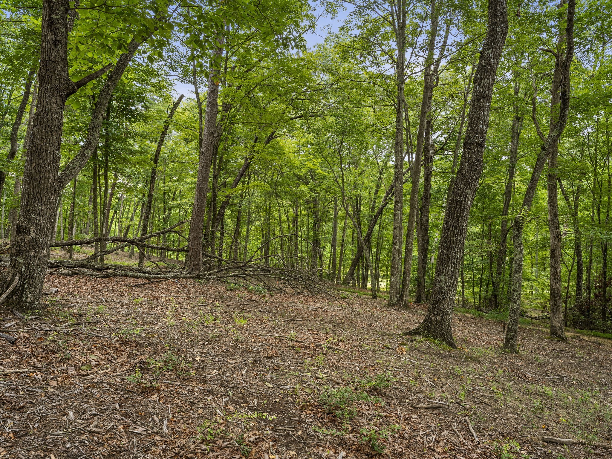 0 Eagle Rock Road Monteagle, TN 37356 - Photo 24 of 26
