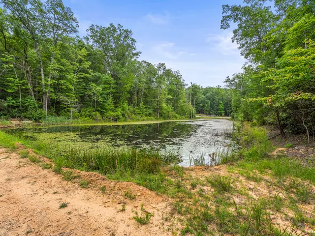 a yard with lots of green space and trees