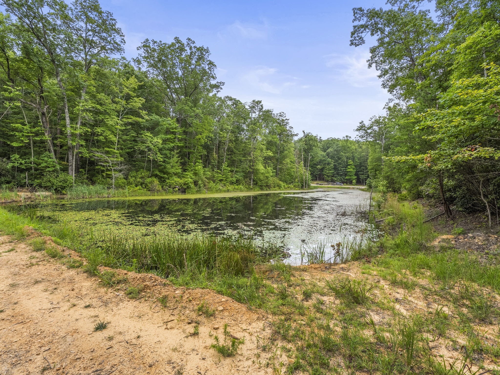 0 Eagle Rock Road Monteagle, TN 37356 - Photo 25 of 26