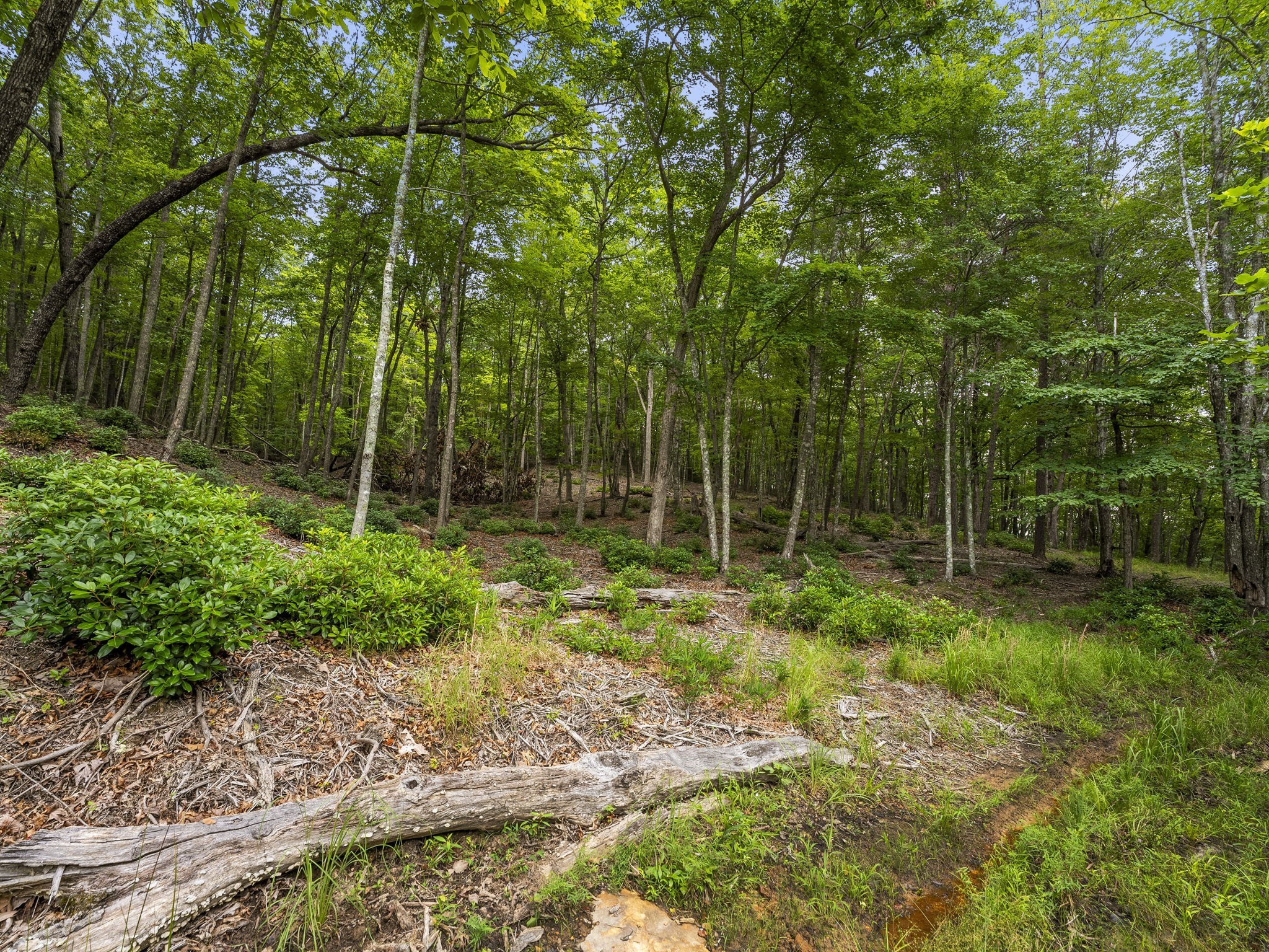 0 Eagle Rock Road Monteagle, TN 37356 - Photo 26 of 26