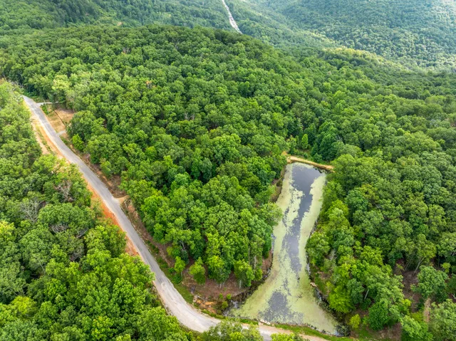 a view of a yard with plants