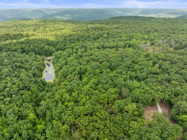 a view of a lush green field